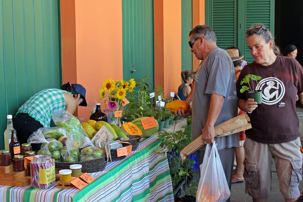 Tourists and locals stop by the market to get some organic local produce at an affordable price.