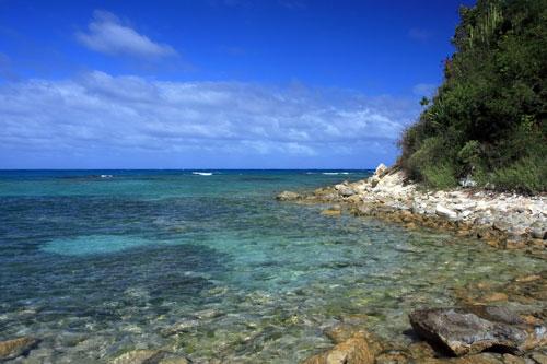 Shoreline along Antigua
