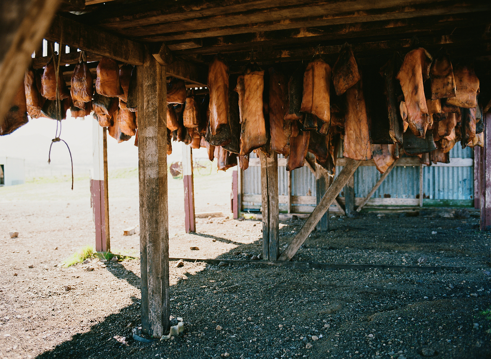 A shed with drying shark skin