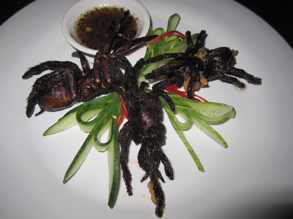A plate of fried tarantulas