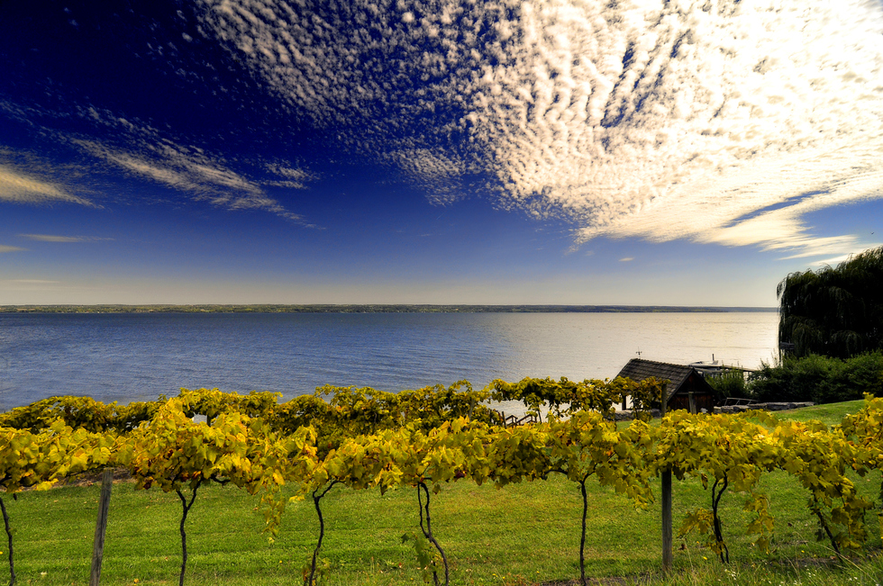 The Finger Lakes Wine Trails