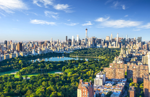 Central Park is a stunning break from New York City's urban landscape.