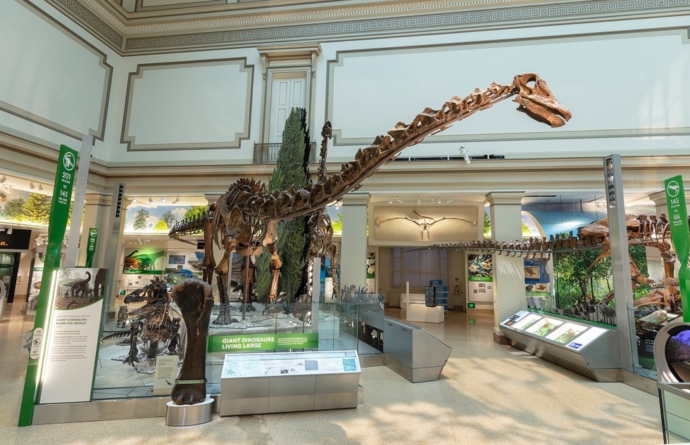 Smithsonian Museums in Washington, D.C. | Frommer's