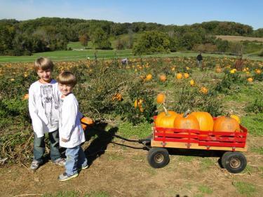 In the pumpkin patch at Ramseys Farm in Delaware