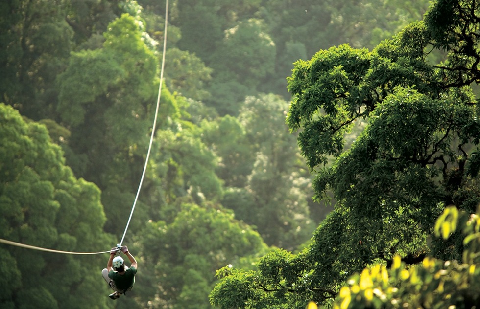 Things to Do in Monteverde | Frommer's
