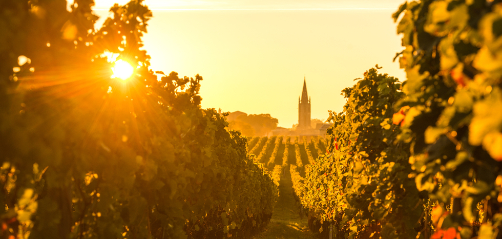 Things to Do in Bordeaux Wine Country | Frommer's