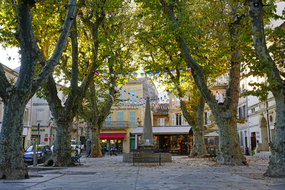 Things to Do in St-Remy-de-Provence | Frommer's
