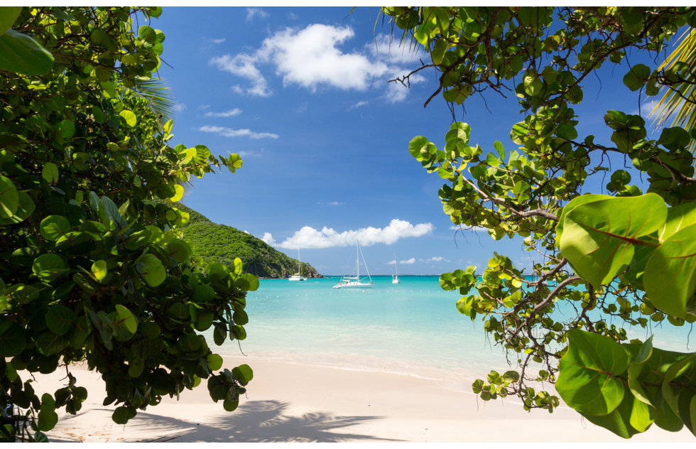 Best Caribbean snorkeling: St. Martin