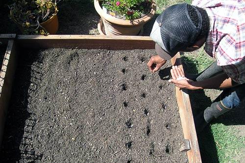 Jason Boarde, the founder of the Pedal Patch Community in Los Angeles, plants seeds.