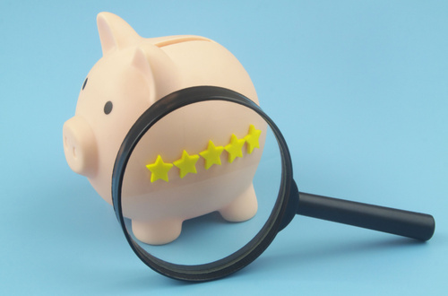 piggy bank with five stars under magnifying glass (illustration)