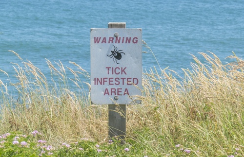 Tick warning sign on Long Island in New York