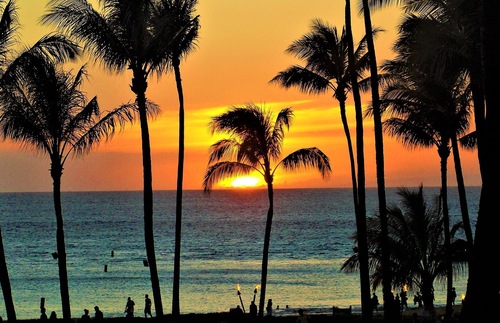 What to do in Maui: Sunset and palm trees
