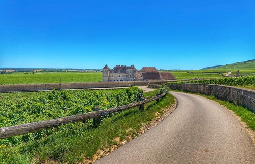How to tour wineries of the Route des Grands Crus around Dijon, France: A road in Burgundy, France