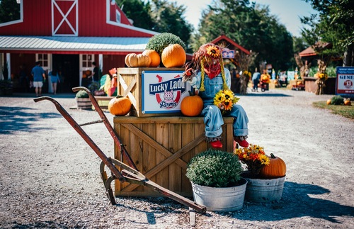 A welcoming scarecrow at the Lucky Ladd Farms in Tennessee