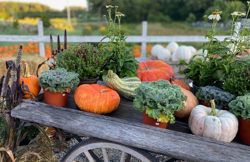 A seasonal display at Smolak Farms in Massachusetts