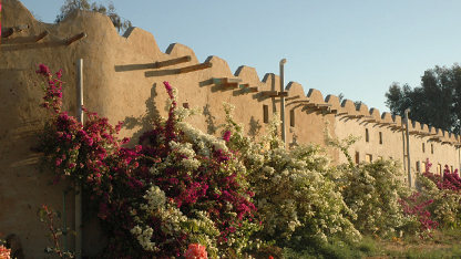The Desert Rose Eco Lodge in the Bahariya Oasis, Egypt.