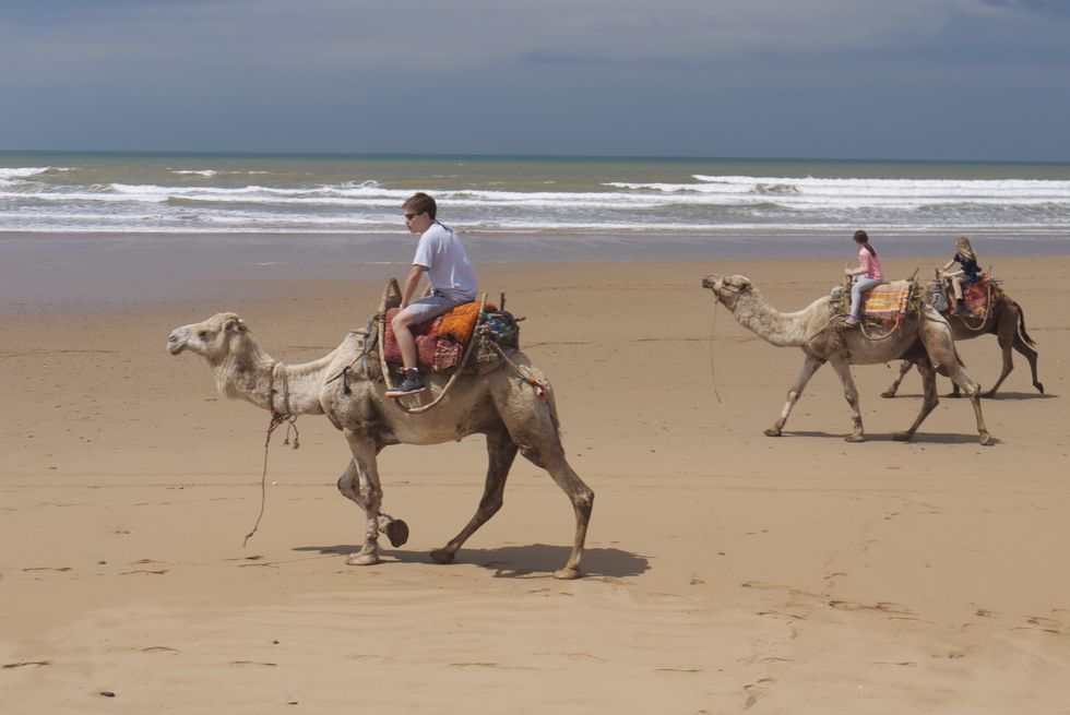 Camel rides are a thriving tourist business in Morocco