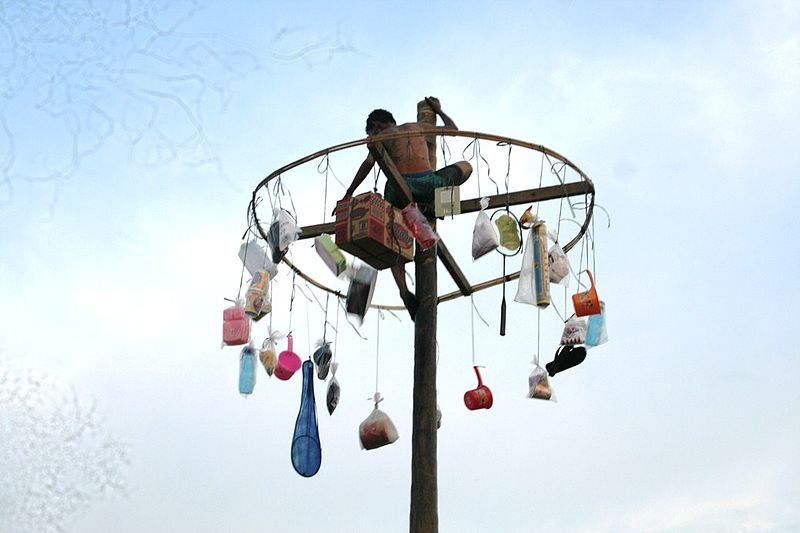 An Indonesian man reaches the top of slippery palm tree at a panjat pinang competition