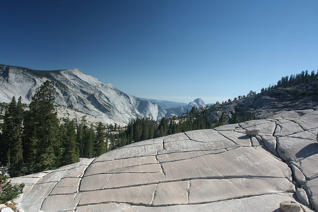 With a flat but fissured, light gray rock in the foreground, trees and then a magnificent snow-covered mountain sit in the background.