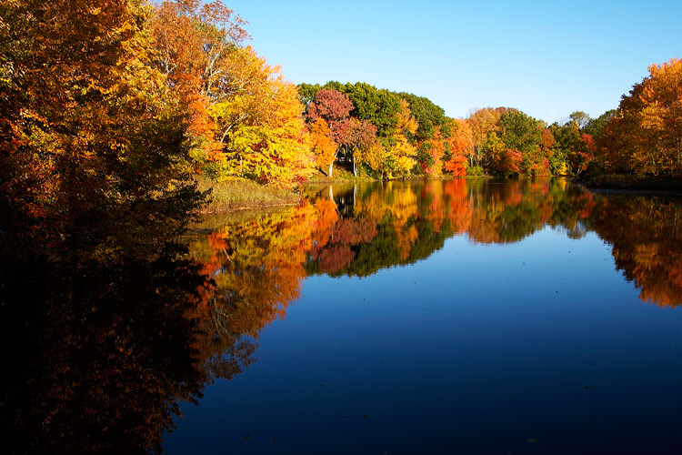 colorful leaves reflecting over a flat blue lake