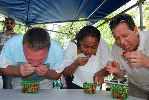 Berry-eating competition at Louisiana Strawberry Festival, Ponchatoula, Louisiana