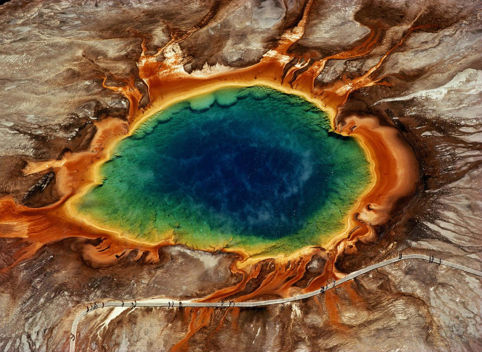 Yellowstone National Park, Wyoming. The vibrant colors of the Grand Prismatic Spring in the Midway Geyser Basin are the result of thermophilic bacteria which thrive in the pool’s over-160° F temperature.