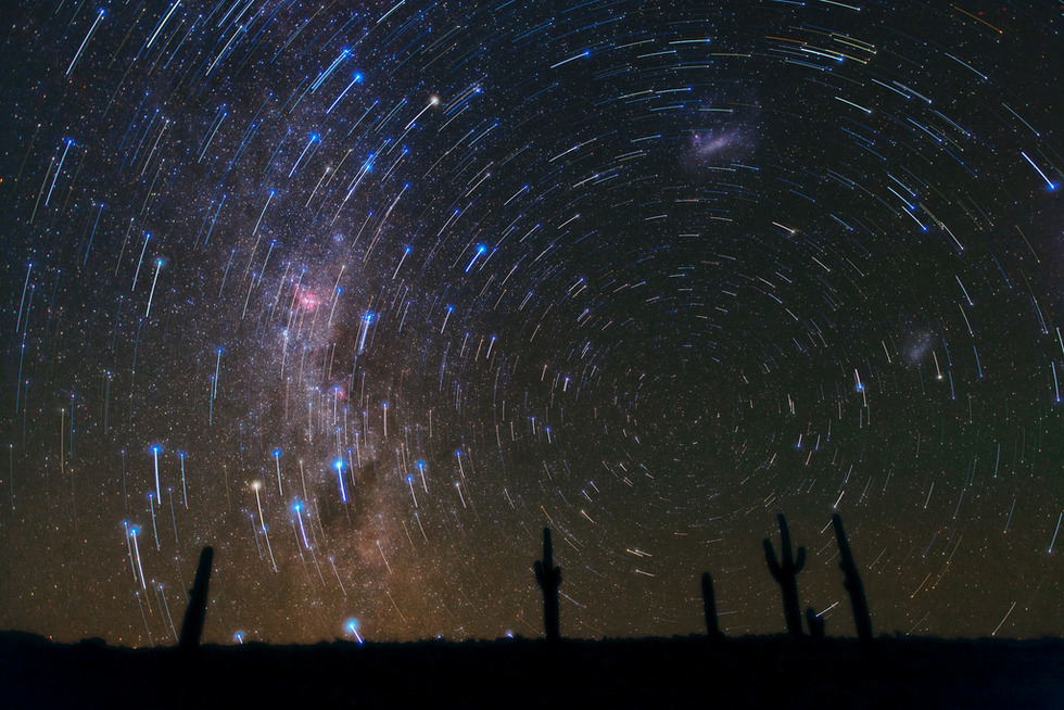 A starry night over silhouettes of cacti in the Atacama Desert