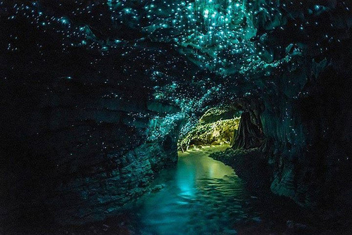 About Mexico's magical bioluminescence