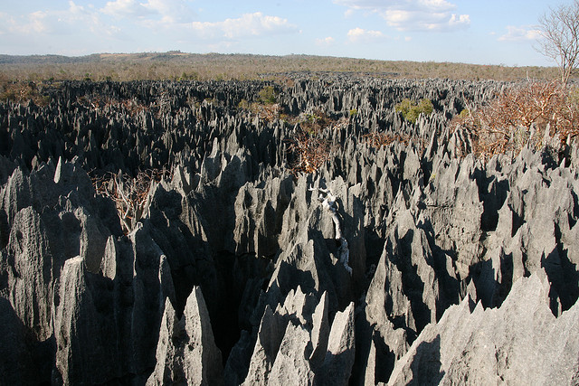 The spiked grey tsingys rise all over the national park