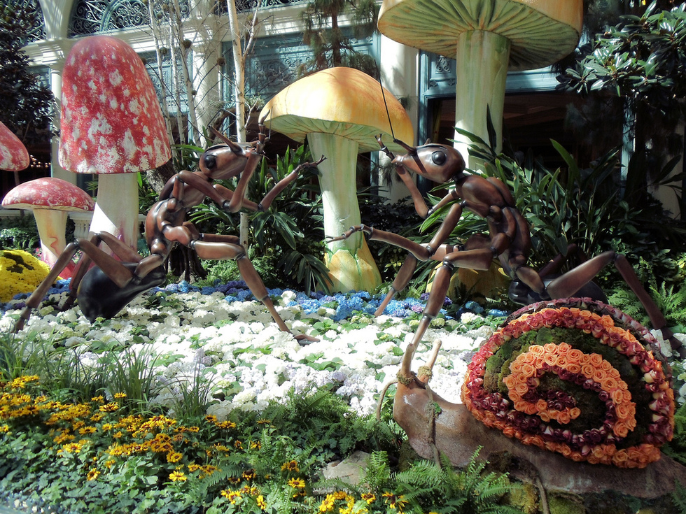 A floral display at the Bellagio