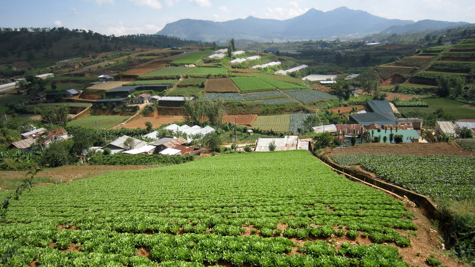 A photo of a village in the Dalat Highlands