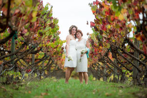 A Napa County vineyard wedding as shot by Napa/Sonoma-based TJ Salsman Photography.