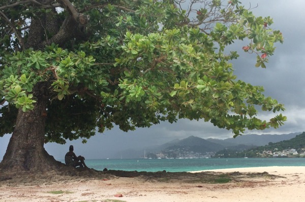 A woman watches an incoming storm from under a tree on Grand Anse Beach.