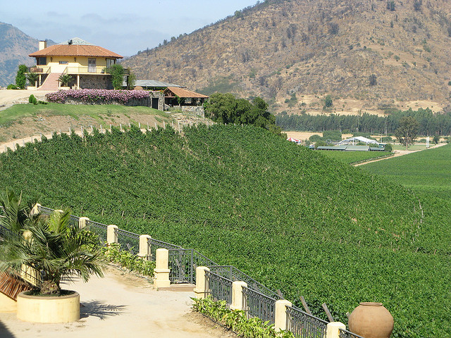 A photo of a winery in Chilé