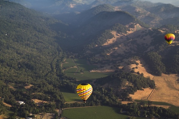 Hot air balloons over Napa Valley