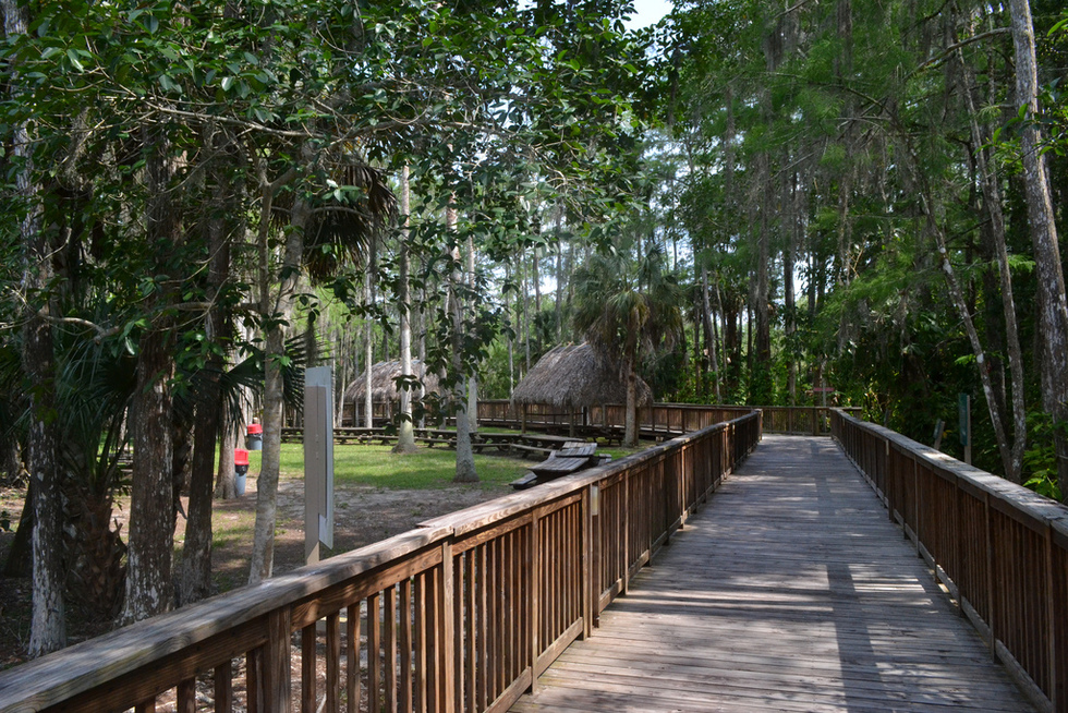 Boardwalk in Everglades at Ah-Tah-Thi-Ki Seminole Indian Museum