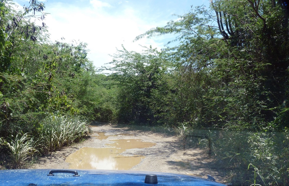 A dirt road in Vieques