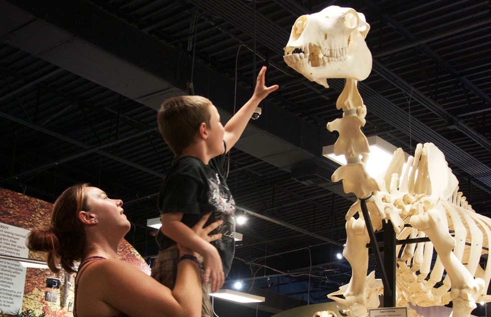 Skeletons: Animals Unveiled, Orlando