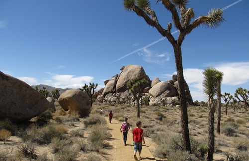 Free National Park Entry on Nov. 11 and 12:, But for Which Parks? | Frommer's