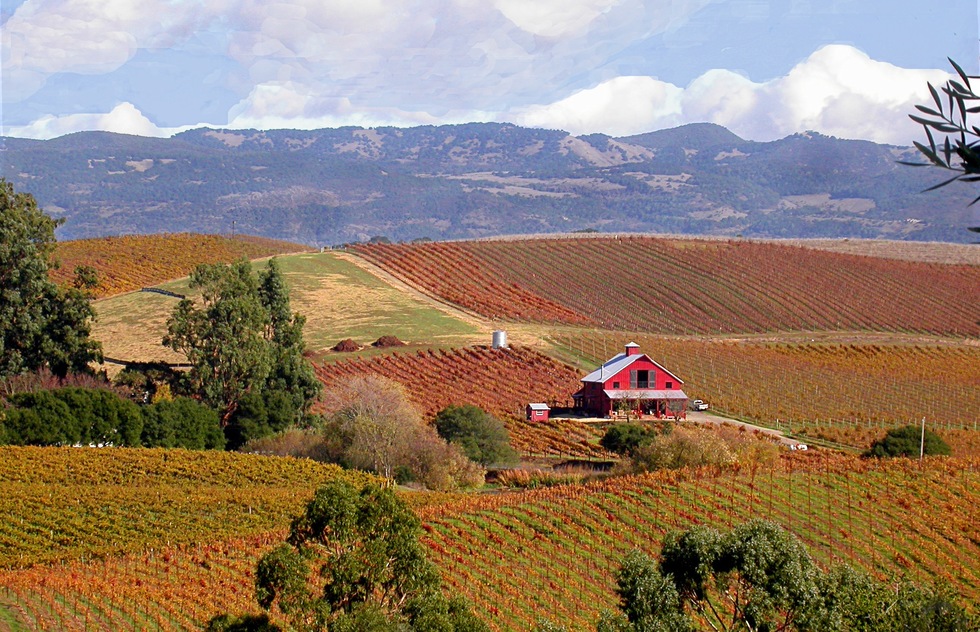 Artesa Vineyards and Winery
