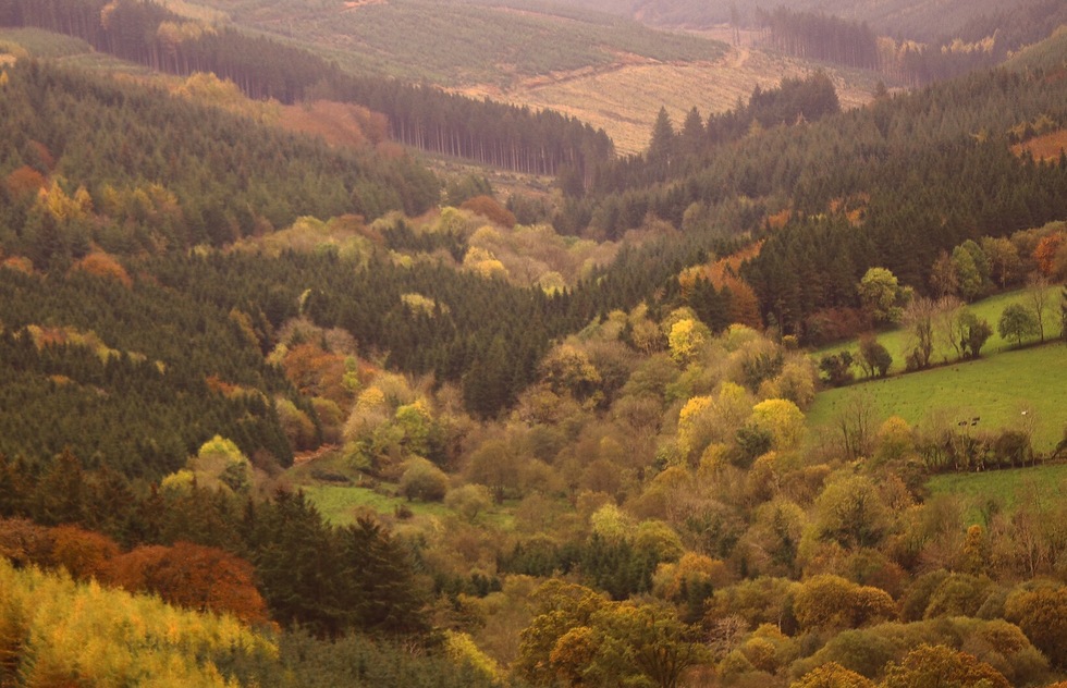 View of the Slieve Bloom mountains in Ireland