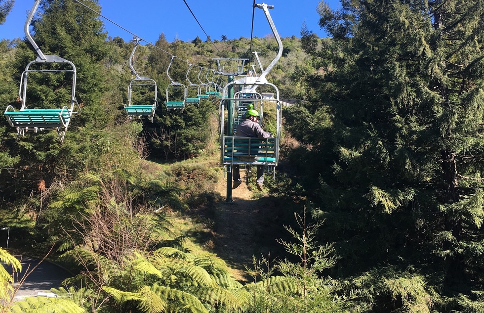 A chairlift flies above ferns and evergreens in Rotorua, New Zealand.