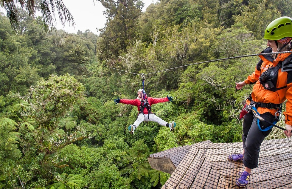 A zipline rider zooms toward forest canopy in Rotorua, New Zealand.