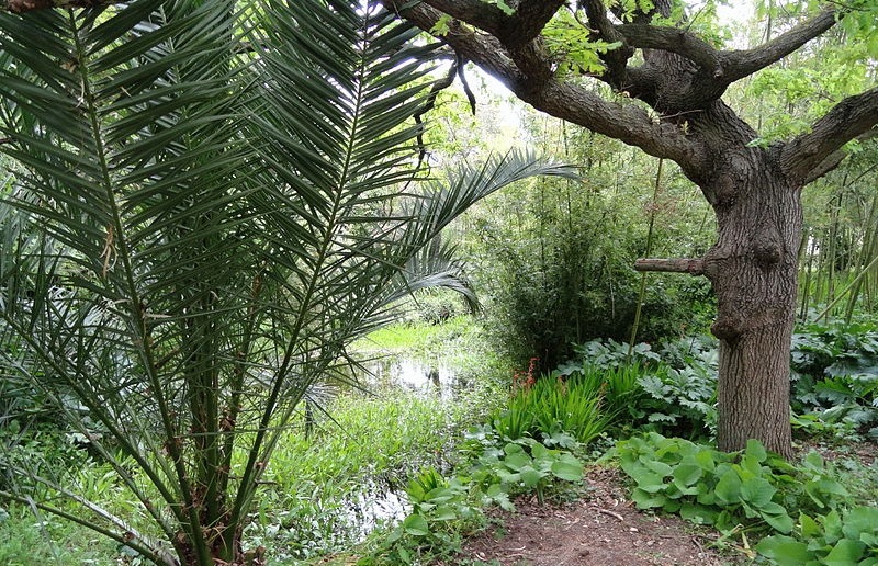 Jardin Botanique de la Villa Thuret, Antibes Juan-les-Pins