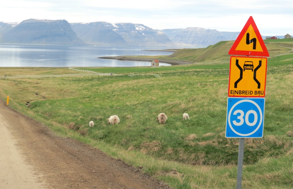 Roads in Iceland do not resemble the expansive, six-lane wide expressways found in the U.S.A. They can be one lane wide in each direction and relatively tight. I found myself driving in the middle of two lanes whenever there were no other cars around, which was often.