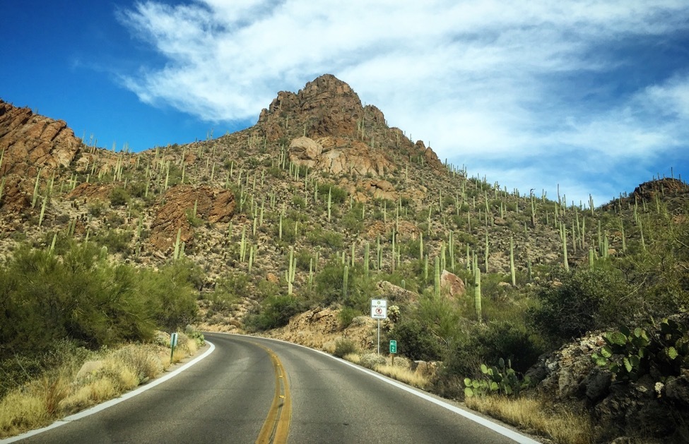 Saguaro Road