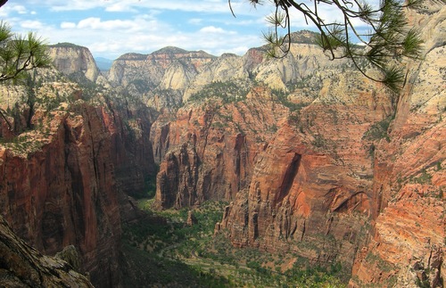 Rock Climbing Cliffs Closed at Zion National Park to Protect Nesting Falcons | Frommer's