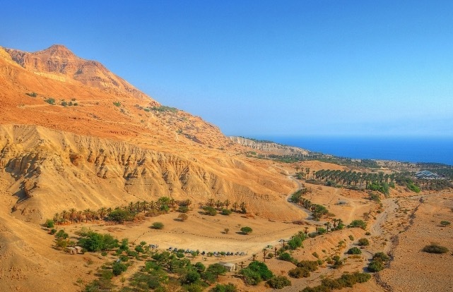 Ein Gedi kibbutz on the western shore of the Dead Sea