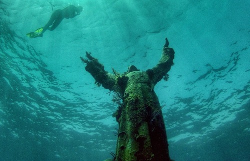 New Virtual Gallery Lets You Explore Underwater Marvels from Dry Land | Frommer's