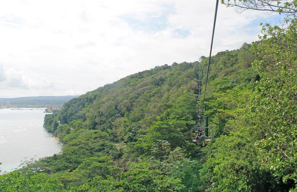 The chairlift takes you above the lush rainforest.